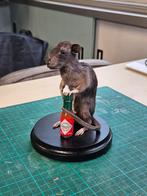 Opgezet tabasco ratje / rat taxidermie / zoogdier, Ophalen of Verzenden, Nieuw, Opgezet dier