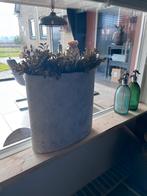 Grote ovalen bloempot, Steen, Minder dan 60 cm, Ophalen of Verzenden, Zo goed als nieuw