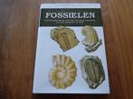 Fossielen - Rudolf Prokop, Boeken, Ophalen of Verzenden, Nieuw, Rudolf Prokop