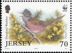 JERSEY 27 - Dieren WWF: vogels (grasmus), Postzegels en Munten, Postzegels | Thematische zegels, Ophalen of Verzenden, Dier of Natuur