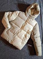Asos winterjas heren maat XS, Ophalen of Verzenden, Nieuw, Maat 46 (S) of kleiner