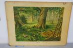 Oude dubbele schoolplaat "In het bos" / "In de weide", Ophalen, Natuur en Biologie