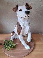 Mooi nieuw beeld van een jack russel te koop, Ophalen of Verzenden, Nieuw, Dier