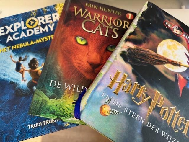 Harry Potter-Warrior cats-het Nebula mysterie, Boeken, Kinderboeken | Jeugd | 10 tot 12 jaar, Zo goed als nieuw, Ophalen of Verzenden