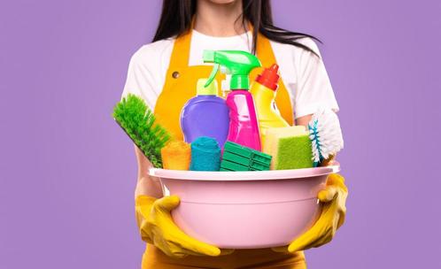Schoonmaakster aangeboden omgeving Woerden, Diensten en Vakmensen, Schoonmakers en Glazenwassers