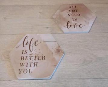 2NIEUWE CANVASSEN IN PLASTIC SAMEN€2,50 beschikbaar voor biedingen