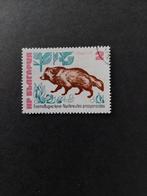 Wasbeerhond. Dieren. Bulgarije., Ophalen of Verzenden, Dier of Natuur