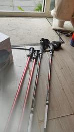 Nordic Walking Stokken, Sport en Fitness, Bergsport en Wandelen, Ophalen of Verzenden, Zo goed als nieuw, Wandelstok