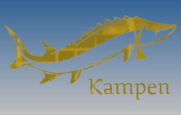 Kampersteur Sticker recht met tekst Goud beschikbaar voor biedingen