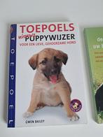 Gwen Bailey - Toepoels nieuwe puppywijzer, Honden, Ophalen of Verzenden, Zo goed als nieuw, Gwen Bailey