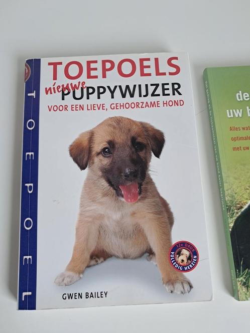 Gwen Bailey - Toepoels nieuwe puppywijzer, Boeken, Dieren en Huisdieren, Zo goed als nieuw, Honden, Ophalen of Verzenden