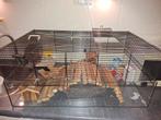 Hamsterkooi, Dieren en Toebehoren, Kooi, Minder dan 75 cm, Zo goed als nieuw, Hamster