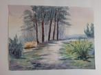 Aquarel landschap Terschelling, Antiek en Kunst, Ophalen of Verzenden