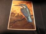 Voor het Kind ansichtkaart 1939 IJsvogel, Verzamelen, Ansichtkaarten | Themakaarten, Verzenden, 1920 tot 1940, Ongelopen, Kinderen