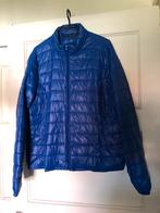 Leuk kobaltblauw dames jack / jas (maat xl), Kleding | Dames, Jassen | Winter, Blauw, Maat 42/44 (L), Ophalen of Verzenden, Zo goed als nieuw