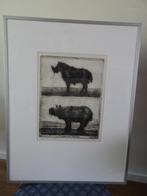 Ets - Gesigneerd - Jan Hurx - Rhinoceros Vnicornis - nr XVI, Antiek en Kunst, Kunst | Etsen en Gravures, Ophalen