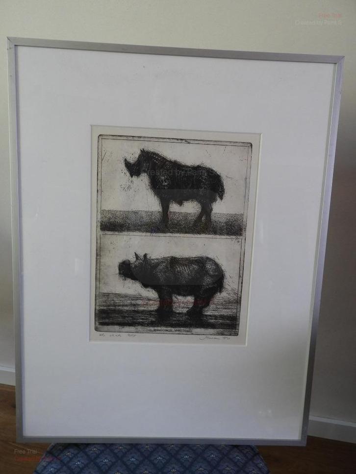Ets - Gesigneerd - Jan Hurx - Rhinoceros Vnicornis - nr XVI, Antiek en Kunst, Kunst | Etsen en Gravures, Ophalen