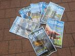 7 visbladen te koop aangeboden, waarvan 2 nog in folie!, Ophalen of Verzenden, Zo goed als nieuw