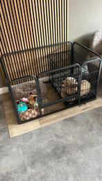 Puppy ren, Dieren en Toebehoren, Hondenhokken, Ophalen, Gebruikt