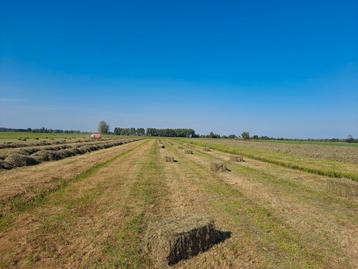 Hooi pakjes hooipakjes baaltjes nu scherpe prijs! beschikbaar voor biedingen