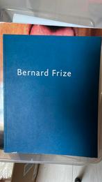 Bernard Frize boek, Ophalen of Verzenden, Zo goed als nieuw, Schilder- en Tekenkunst