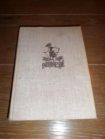 IND(ONES)IE - een tropenjournaal door Louis Vrooland beschikbaar voor biedingen