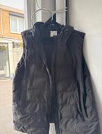 Primark Bodywarmer - Ideaal voor het tussenseizoen!, Kleding | Heren, Bodywarmers, Ophalen of Verzenden, Zo goed als nieuw, Maat 56/58 (XL)