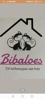 Dé professionele kattenoppas aan huis, Overige vormen
