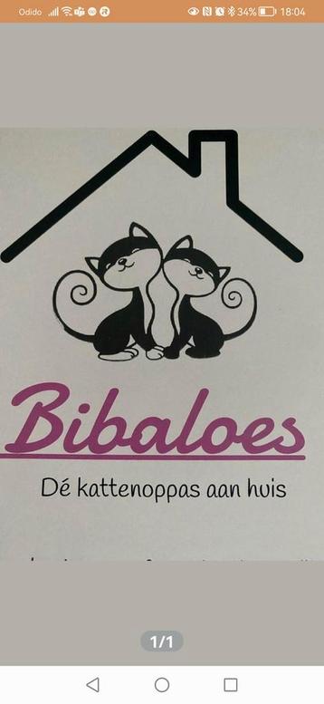 Dé professionele kattenoppas aan huis beschikbaar voor biedingen