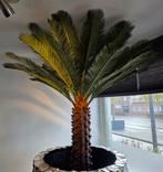 NIEUW UNIEK GROTE KUNST PALMBOOM 160CM ERIC ERIK KUSTER, Ophalen, Nieuw