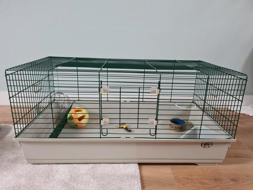 Cavia / Konijnen hok, Dieren en Toebehoren, Knaagdieren en Konijnen | Hokken en Kooien, Zo goed als nieuw, Kooi, Minder dan 60 cm