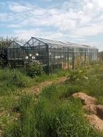 Tuin kas 80 m2, Tuin en Terras, Ophalen, Gebruikt