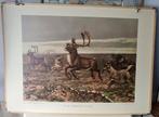 Vintage schoolplaat In de Siberische vlakte M.A Koekoek, Ophalen, Natuur en Biologie