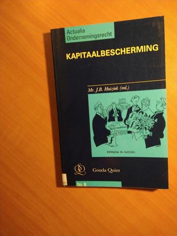 Kapitaalbescherming. Huizink, Mr. J.B. (redactie) beschikbaar voor biedingen