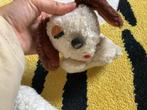 Schattige Knuffelhond, Ophalen of Verzenden, Gebruikt, Hond