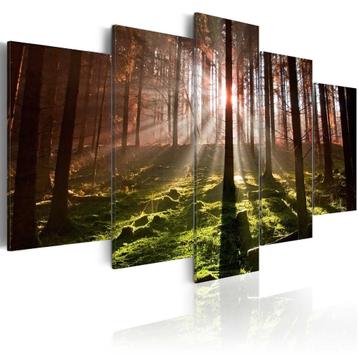 328 Natuur Bos Bomen 5 Luik Canvas Schilderij 200x100cm beschikbaar voor biedingen