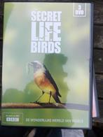 Bbc the secret life of birds 3 disc dvd box, Cd's en Dvd's, Dvd's | Documentaire en Educatief, Ophalen of Verzenden