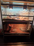 2 terrariums 100x50x50 met aluminium stelling, Dieren en Toebehoren, Reptielen en Amfibieën | Toebehoren, Ophalen, Zo goed als nieuw