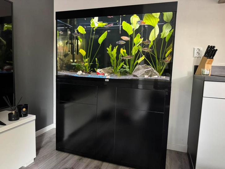 Compleet Sublime aquarium 120x50cm – inclusief ALLES, Dieren en Toebehoren, Vissen | Aquaria en Toebehoren, Zo goed als nieuw