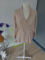 prachtige beige trui met aparte kraag, Ophalen, Gedragen, Maat 46/48 (XL) of groter, Beige