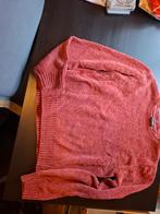 Awesome Trui Meisje Maat 164, Kinderen en Baby's, Kinderkleding | Maat 158, Ophalen of Verzenden, Zo goed als nieuw, Meisje, Trui of Vest