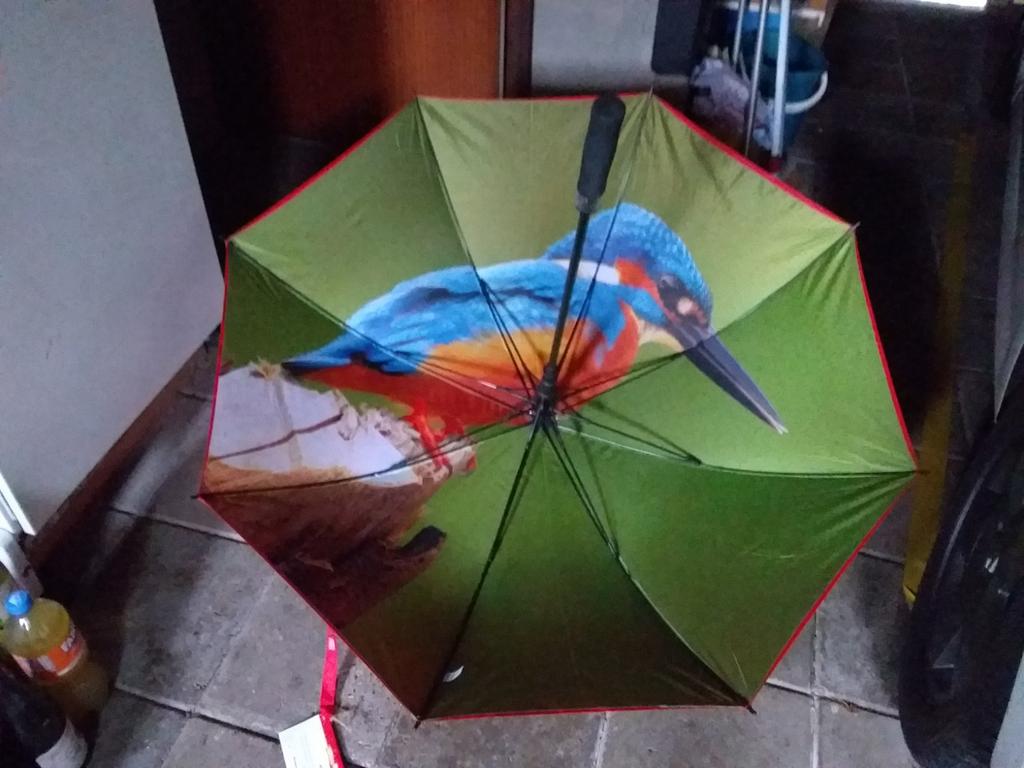 Nieuw paraplu met vogelprint in verpakking, Sieraden, Tassen en Uiterlijk, Paraplu's, Ophalen of Verzenden, Nieuw, Overige kleuren