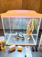SuperFish aquarium Start 30 Tropical Kit 25 L + accessoires, Ophalen, Zo goed als nieuw, Leeg aquarium