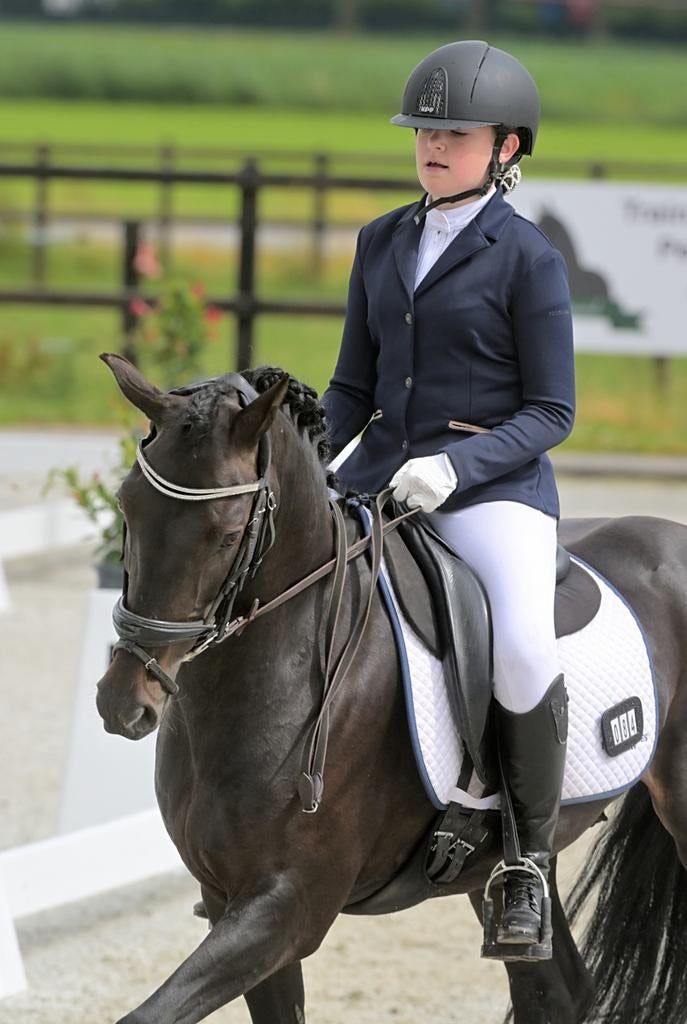 Lieve New Forest D-pony te koop, Ruin, Dressuurpony, M, 11 jaar of ouder