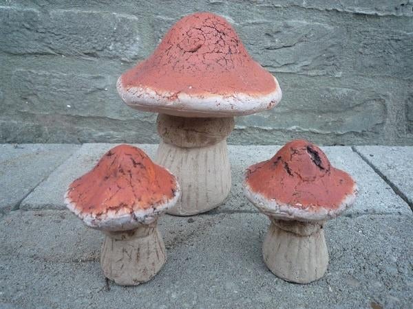 Decoratie stenen paddestoeltjes NIEUW!, Huis en Inrichting, Woonaccessoires | Overige, Ophalen of Verzenden, Nieuw