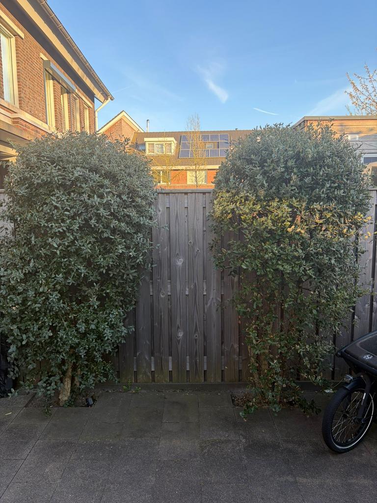 2 kurkeiken, Ophalen, Overige soorten