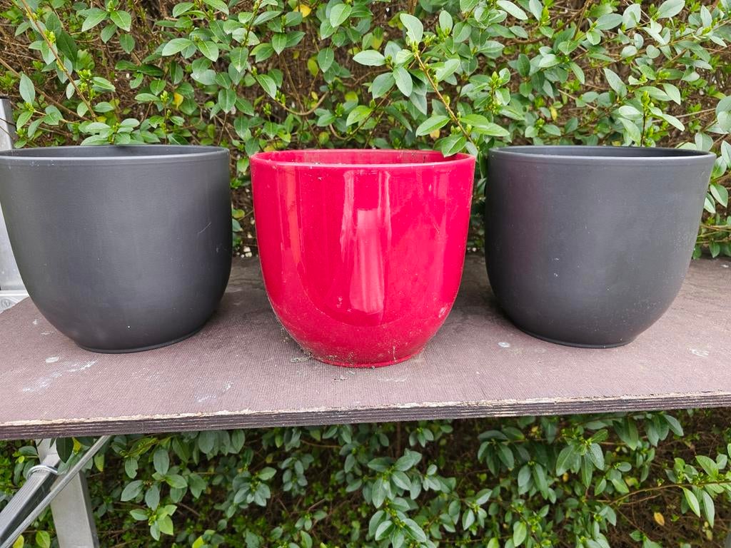 Mica bloempotten, Ophalen, Rond, Aardewerk, Minder dan 40 cm