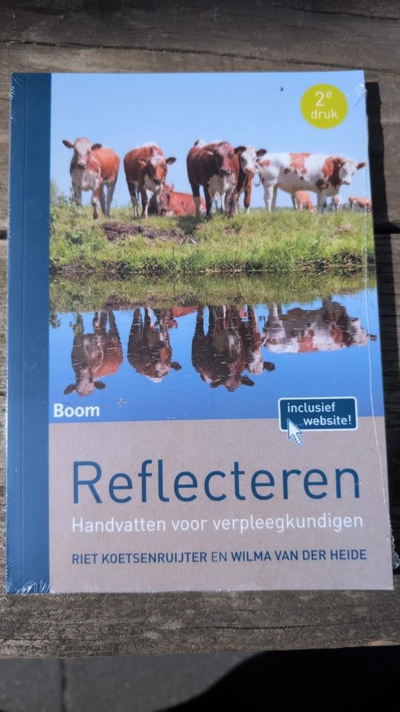Reflecteren: Handvatten voor verpleegkundigen (2e druk), Boeken, Riet Koetsenruijter en Wilma van der Heide, Nieuw, Gamma, HBO