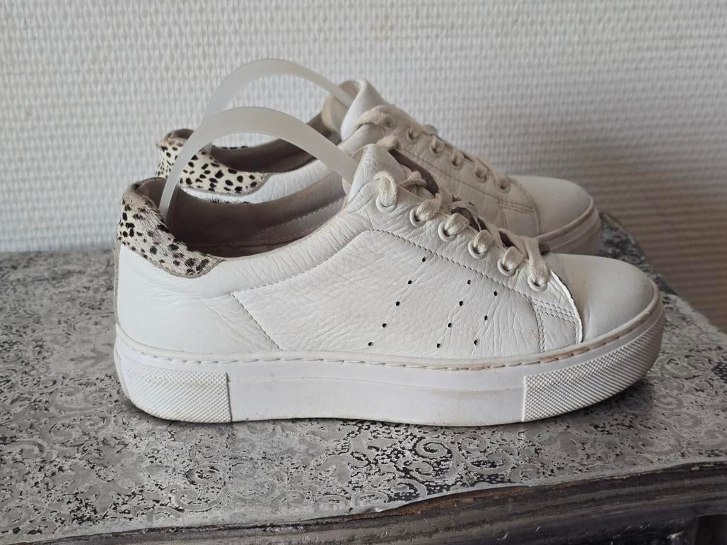 5th Avenue Dames Witte leren sneaker panterprint maat 36, Wit, Ophalen of Verzenden, Sneakers of Gympen, 5th Avenue