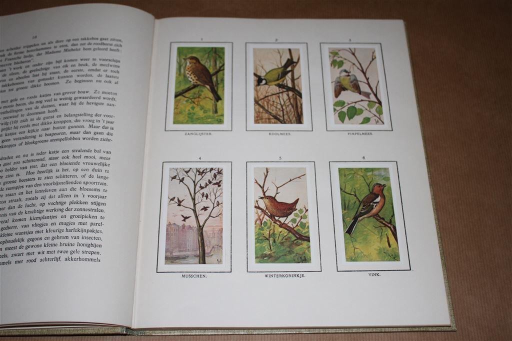 Lente. Jac. P. Thijsse. Compleet plaatjesalbum., Boeken, Prentenboeken en Plaatjesalbums, Ophalen of Verzenden, Gelezen